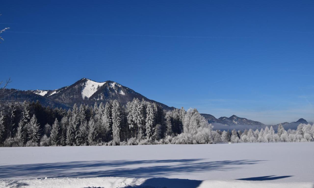 Loitzbauer Ferienwohnungen Sankt Gilgen Buitenkant foto